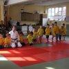 Training Bonsai-Gruppe 22.07.2015